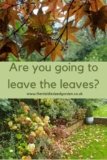 Leave the leaves – the new, easy way to deal with autumn gardens – The Middle-Sized Garden